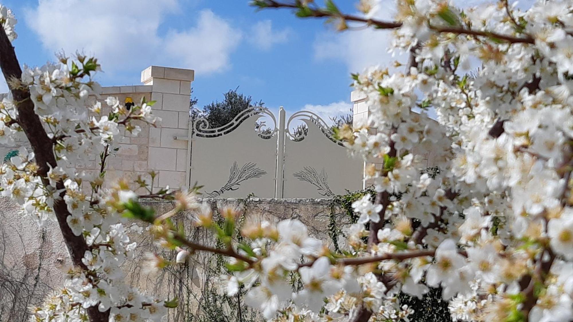 Villa Karmel Valle D'Itria تْشيستيرنِنو المظهر الخارجي الصورة
