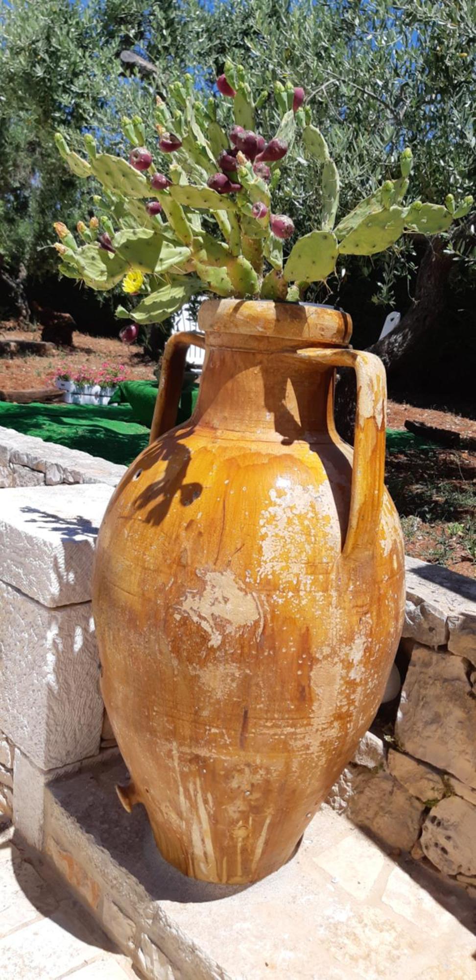Villa Karmel Valle D'Itria تْشيستيرنِنو المظهر الخارجي الصورة