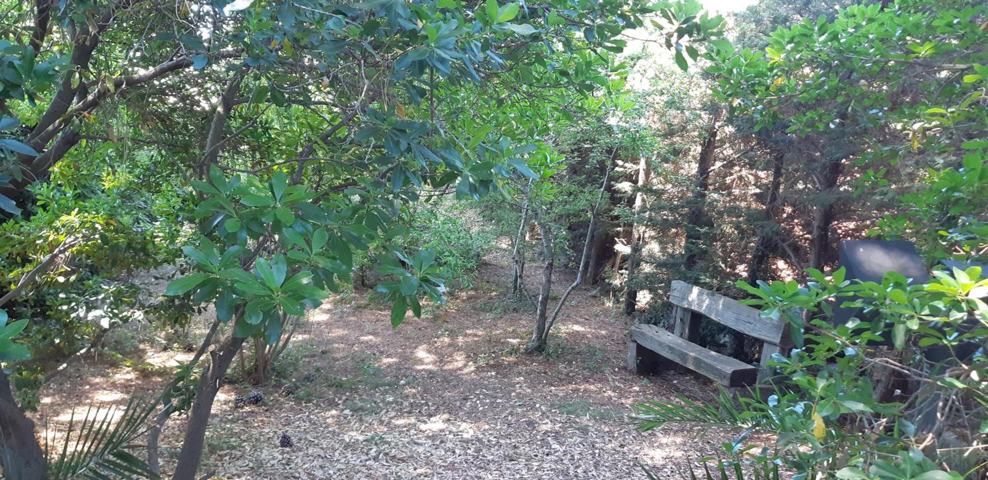 Villa Karmel Valle D'Itria تْشيستيرنِنو المظهر الخارجي الصورة