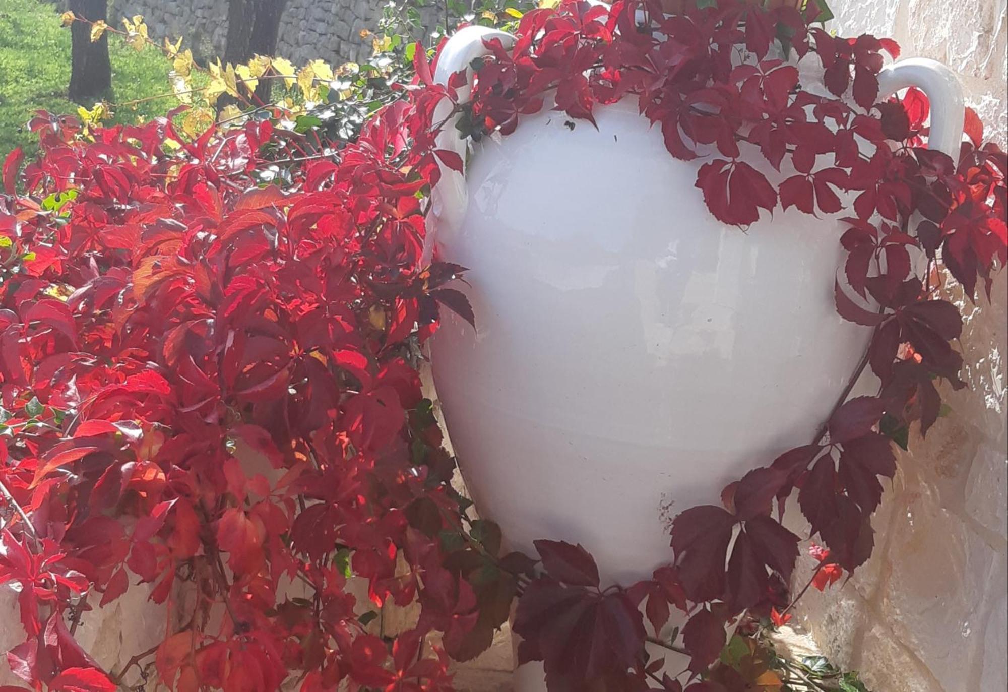 Villa Karmel Valle D'Itria تْشيستيرنِنو المظهر الخارجي الصورة